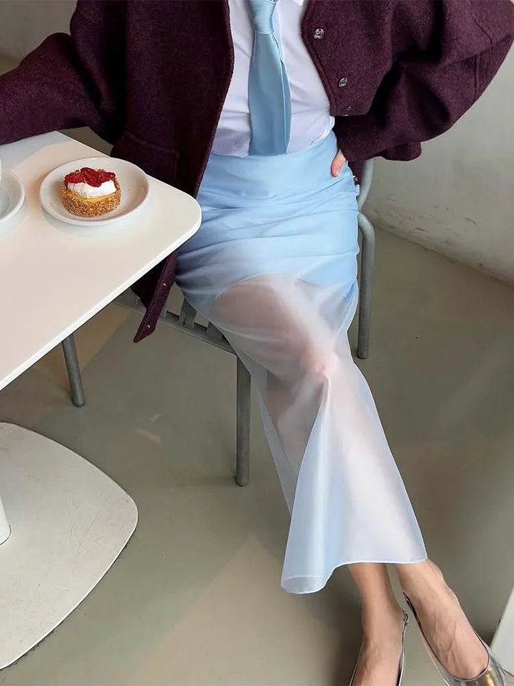 The Sheer Elegance Skirt