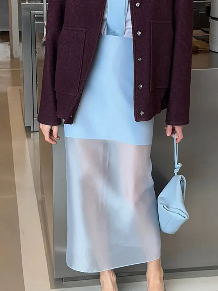 The Sheer Elegance Skirt